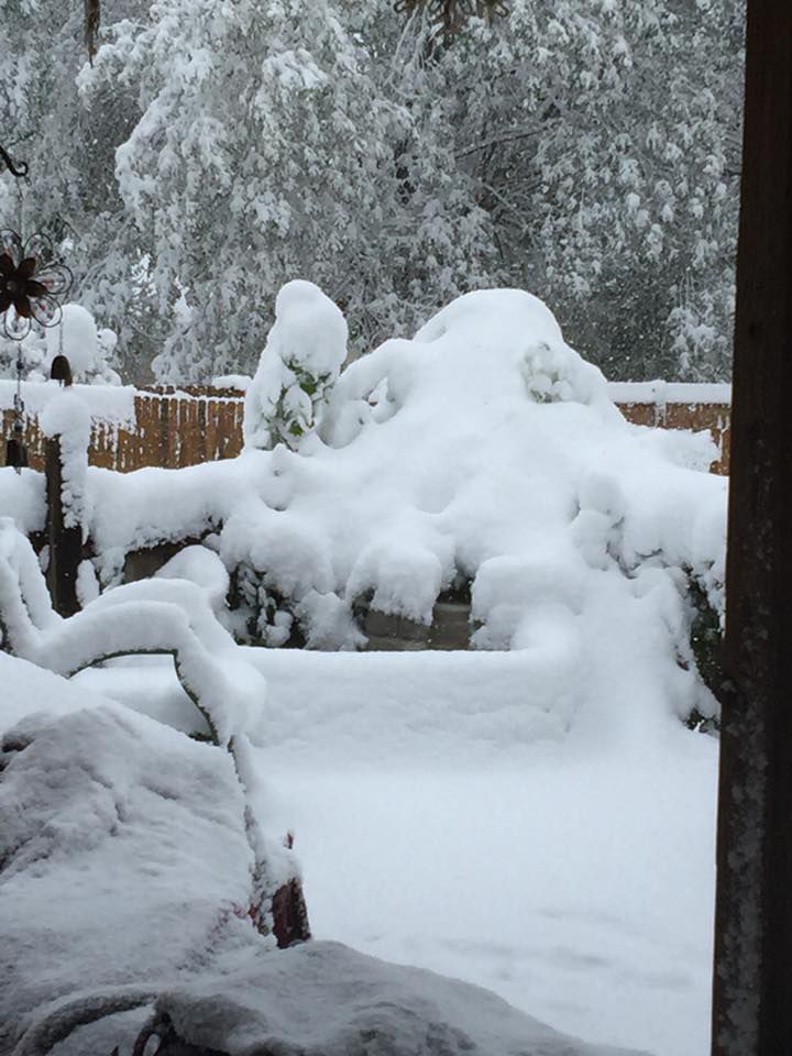 Snow, 10/14